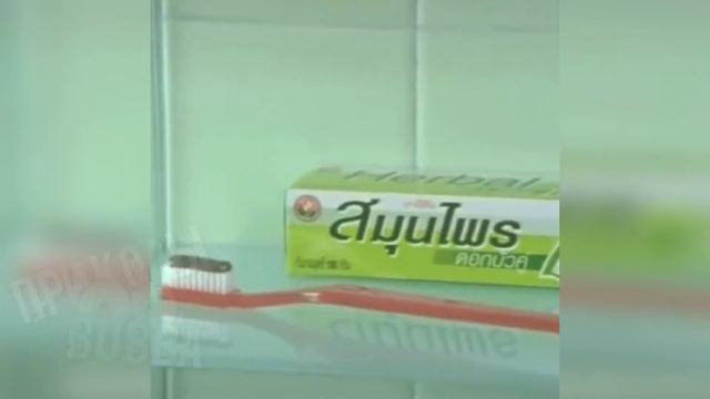 ⚫️ Нига на зубной счетке ↓↓↓ приколы 2020 смотреть онлайн