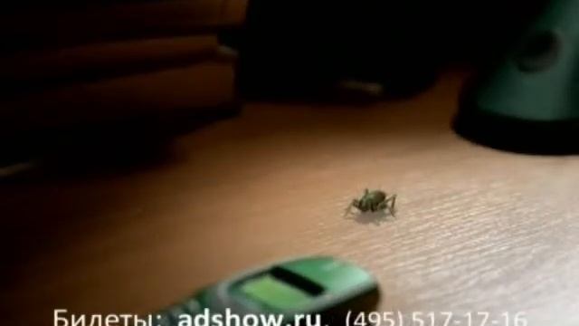 Сверчок и мобила смотреть онлайн