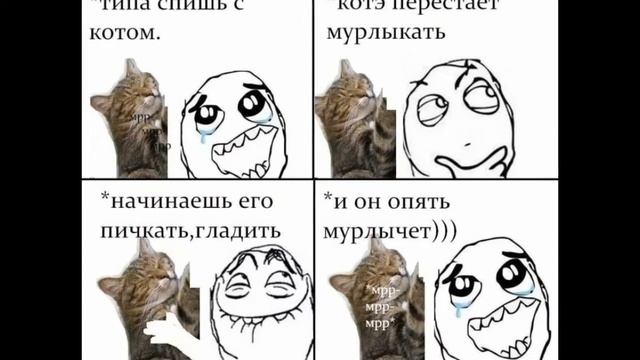 Лютые приколы с котами!!! Смотреть всем! смотреть онлайн
