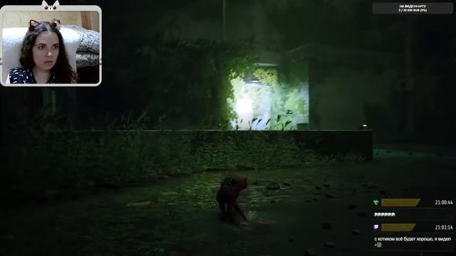 Путь наверх - Stray - Прохождение #5 смотреть онлайн