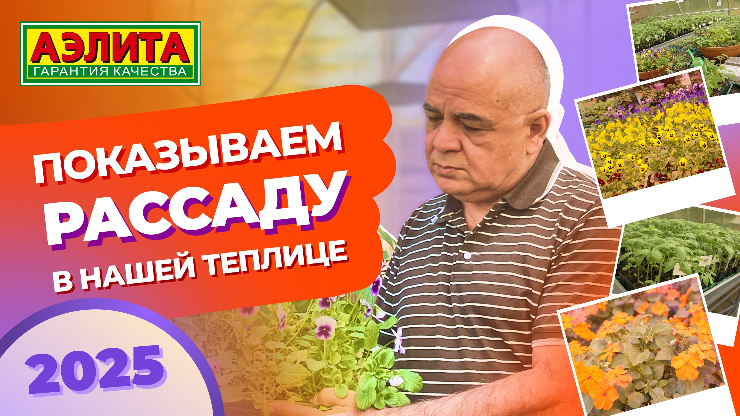 ПОКАЗЫВАЕМ РАССАДУ в ТЕПЛИЦЕ 2025 смотреть онлайн