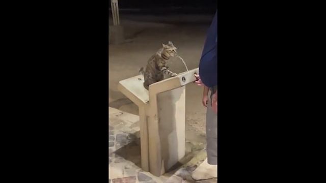 ЗАСМЕЯЛСЯ ПОДПИСАЛСЯ|ЛУЧШИЕ ПРИКОЛЫ 2023|ТЕСТ НА ПСИХИКУ №190