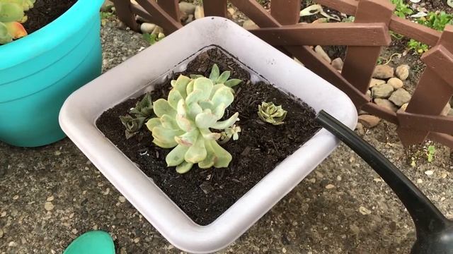 HOW TO USE THE MOISTURE METER смотреть онлайн