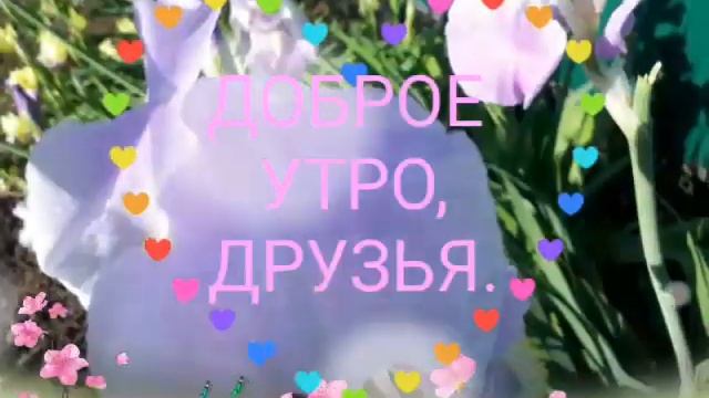 Доброе утро,друзья.С наилучшими пожеланиями.Мира,счастья,добра. смотреть онлайн