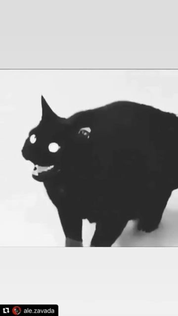 Кот поет дуралейскую песню. Как же я угараю с этого видео, ребят. Я больной? :)