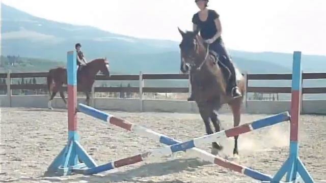 Конкур на лошади. КРЫМ смотреть онлайн