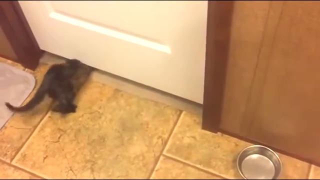 ДЕТЯМ НЕ СМОТРЕТЬ ТОЛЬКО ДЛЯ ВЗРОСЛЫХ Топ ПРИКОЛЫ №4 смотреть онлайн