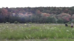 Автостопом втроём на фестиваль «Быть Добру».