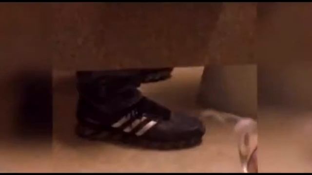 ЛУЧШИЕ видео ПРИКОЛЫ 2015 январь! БЕЛКА ОПЕРАТОР! 1 смотреть онлайн