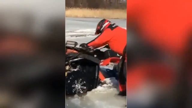 видео приколы ржачные 2017 #38 смотреть онлайн