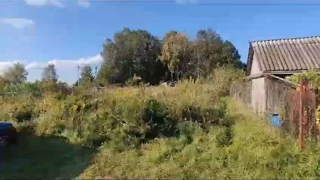 ЗУ :3216 д. Новая смотреть онлайн