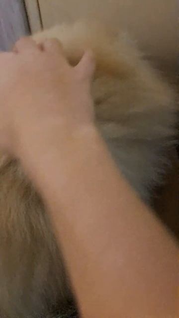 18 листопада 2023 р. смотреть онлайн