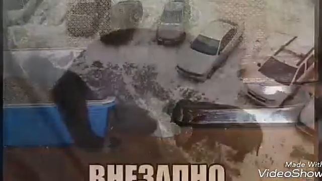 Смешные и прикольные фотки! смотреть онлайн
