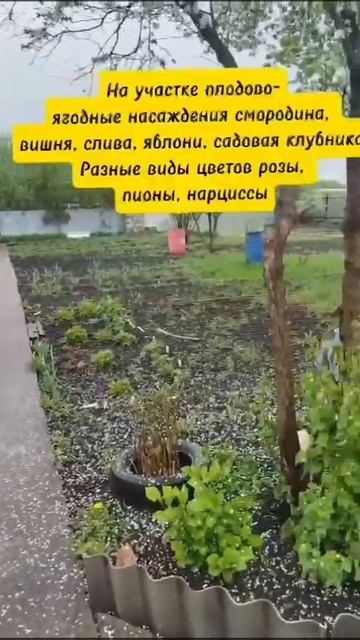 11951370 смотреть онлайн