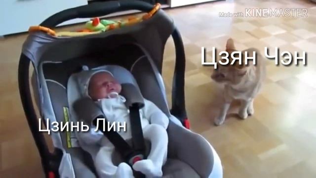 Вайны|Магистр дьявольского культа| Mo Dao Zu Shi|| смотреть онлайн