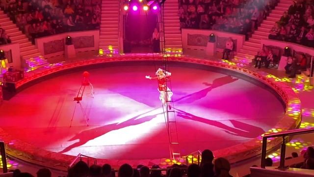 ХИЩНИКИ МОРСКИХ ГЛУБИН В НОВОЙ ПРОГРАММЕ «Магия великих слов» в Нижнетагильском цирке