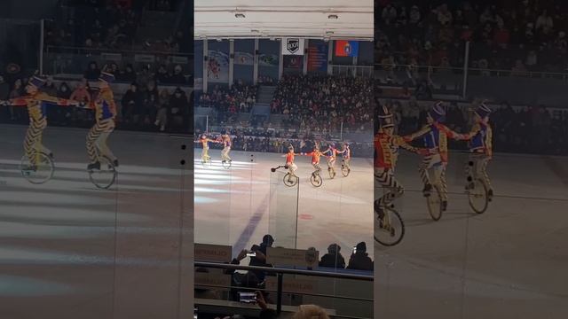 Щелкунчик на льду . Цирк Никулина в Тамбове