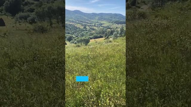 Жити з батьками чи окремо