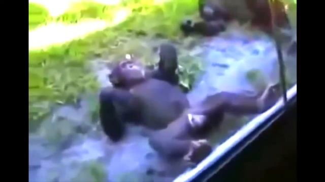 Улетное видео от Mavrin JOKE VIDEOS ютуб COOL COLLECTION приколы самые смешные JOKE FUNNY Шутки вид смотреть онлайн