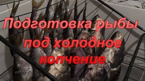 Подготовка рыбы под холодное копчение.