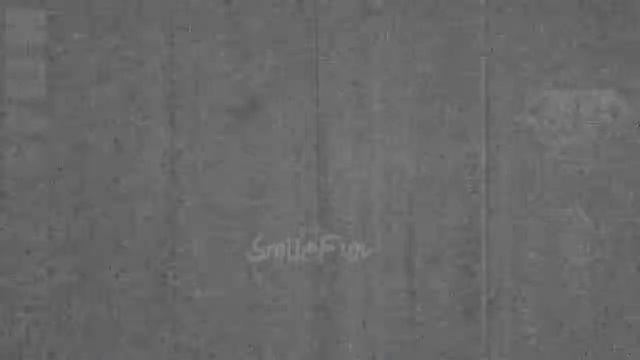 КОШКИ 2019 Смешные коты приколы с котами до слез – Смешные кошки – Funny Cats 2019 смотреть онлайн