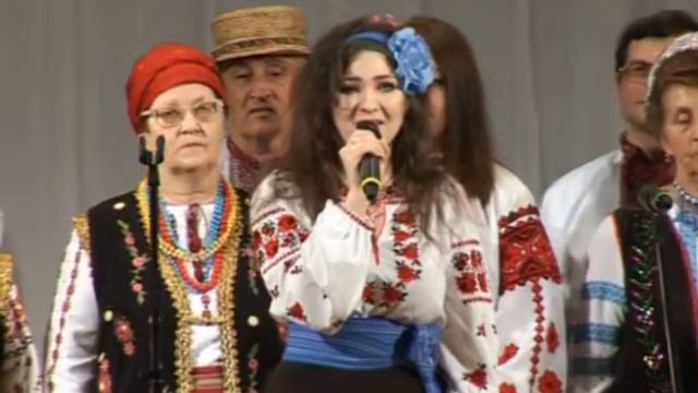 Концерт на подтверждения звания «народный» Сирiй клин. 12.05.2013 смотреть онлайн
