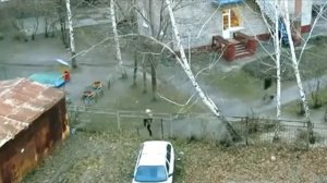 Детей ведут в детский сад,  прикол