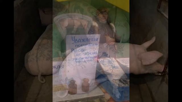 5 минут хорошего настроения! смотреть онлайн