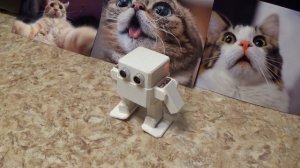 Саня, ты в порядке?