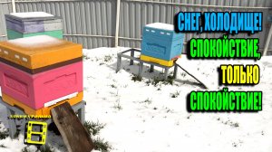 СНЕГ, ПУРГА И ХОЛОД ЭТОЙ ВЕСНОЙ. СПРАВЯТСЯ ЛИ ПЧЕЛЫ? ПЧЕЛОВОДСТВО 25-16