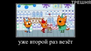 смешные 3 кота.