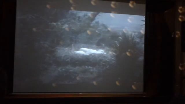 Шульженко Сережа и родители смотреть онлайн