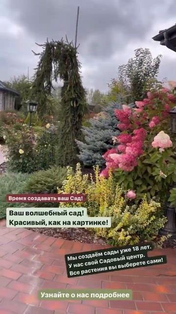 Позвоните нам, +7 499 755 78 23! Это бесплатно и балет полезно смотреть онлайн