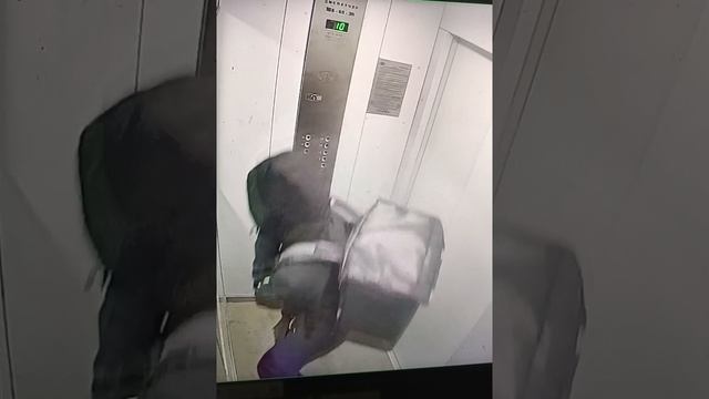 доставка жгет