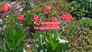 С Первомаем поздравляю!