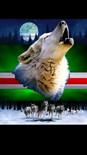 Чеченцы # Ингущи #Вайнахи#Кавказ#Мир#Новости#горы