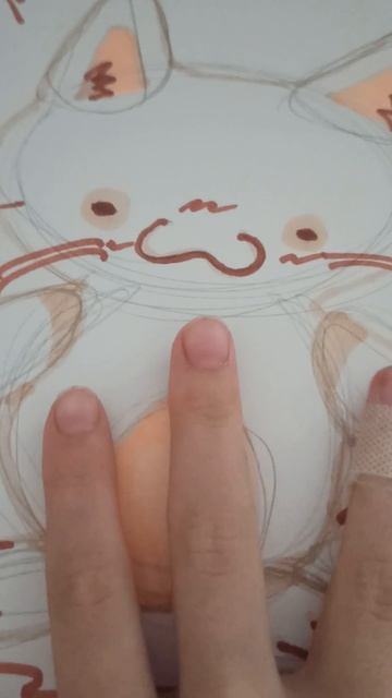 оцените котика:3