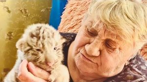 Главная мама Тайгана продолжает выкармливать редчайших БЕЛЫХ ТИГРЯТ, эта милота!