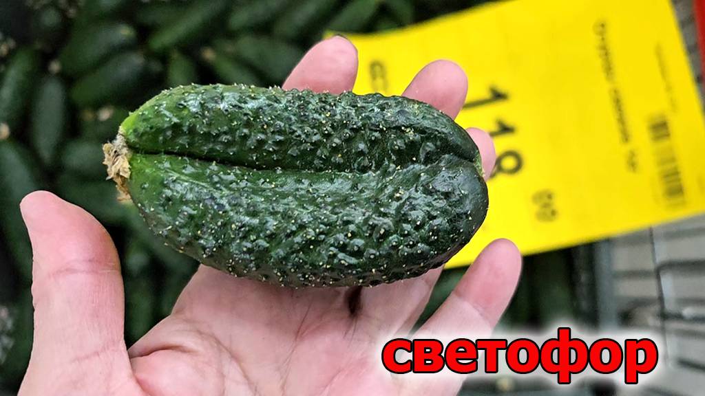 Бегом в Светофор.Эти новинки раскупят за считанные часы.Май 2025 смотреть онлайн