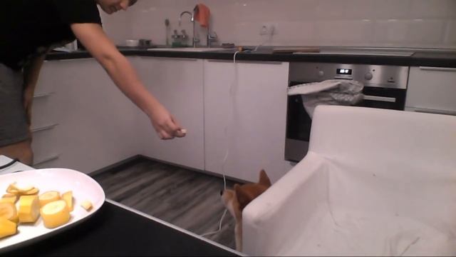 #ROFLOtwitch | Левая СтримХата | Депутат На Стриме | смотреть онлайн