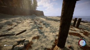 Sons of the Forest | КАК ПРИРУЧИТЬ ВИРДЖИНИЮ?
