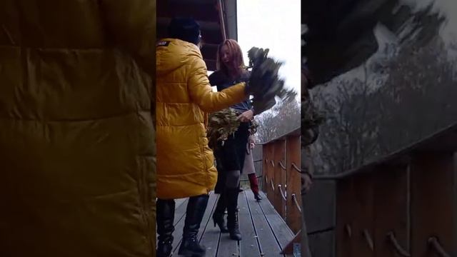 банные дритатушечки смотреть онлайн