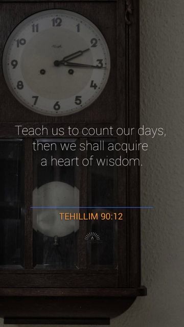 Psalms On Scripture In Pictures (Tehillim In Hebrew) On Man