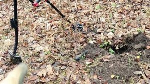 Интересный сигнал на металлоискателе VANQUISH 540. Монета и