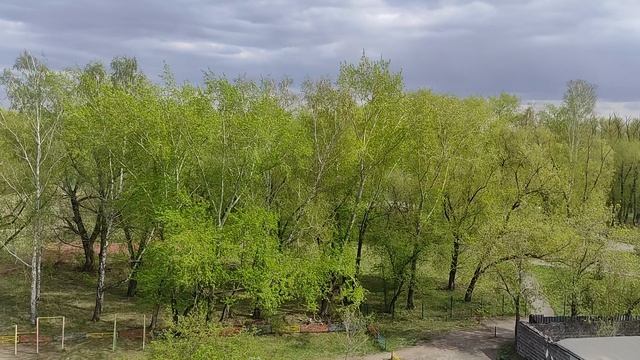 1 мая 2025 С праздником, друзья 🎈 смотреть онлайн