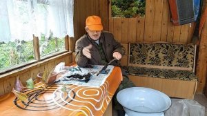 Яблоня Результат размножения яблони без черенков и прививок