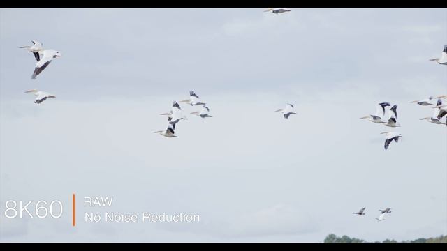 ПОТРЯСАЮЩЕ: Canon R5 Mark II превосходит ВСЕ гибридные камеры - и большинство кинокамер. смотреть онлайн