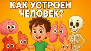 Как устроен человек? Твой организм — это волшебная машина!