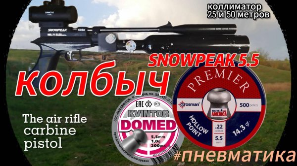 Колбыч коротыш