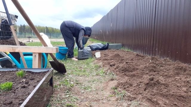 Не хотела но Посадила , Деревня , Всё как надо , так сажаю только я Ждём урожай смотреть онлайн